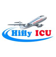 Hifly ICU Air Medical Care image 1
